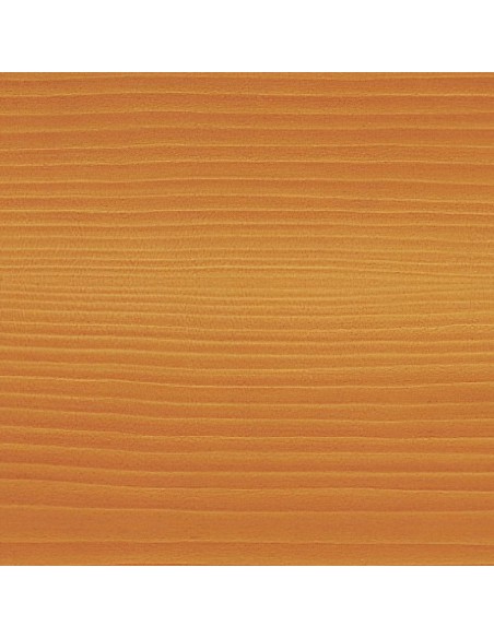 05540504